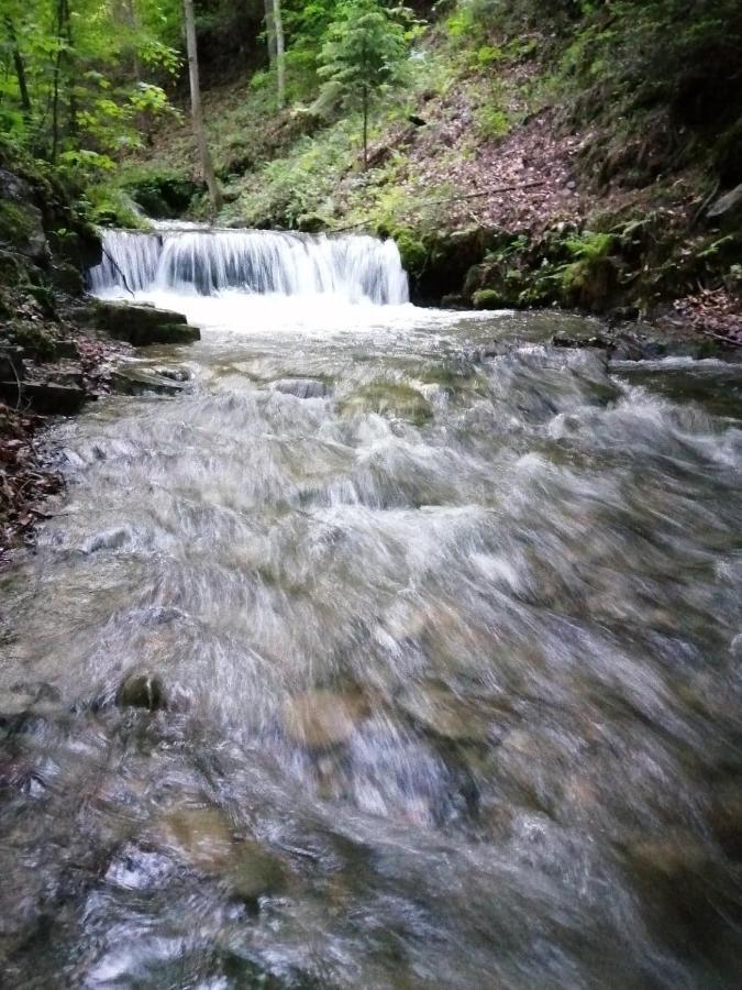 Chalpa Na Skarpie Villa Meszna Kültér fotó