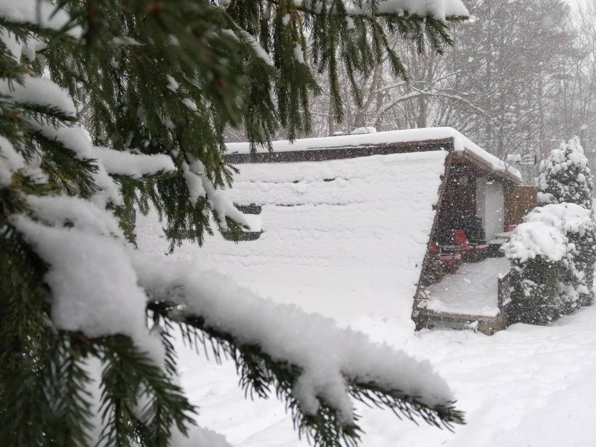 Chalpa Na Skarpie Villa Meszna Kültér fotó